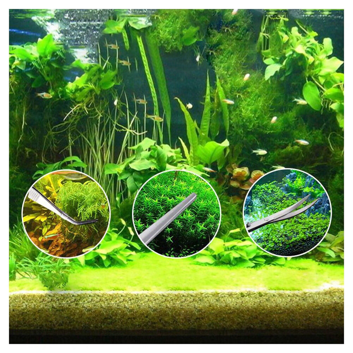 5 in 1 Aquarium Scissors Tweezers Spatula Stainless Steel Aquascaping Tools B999