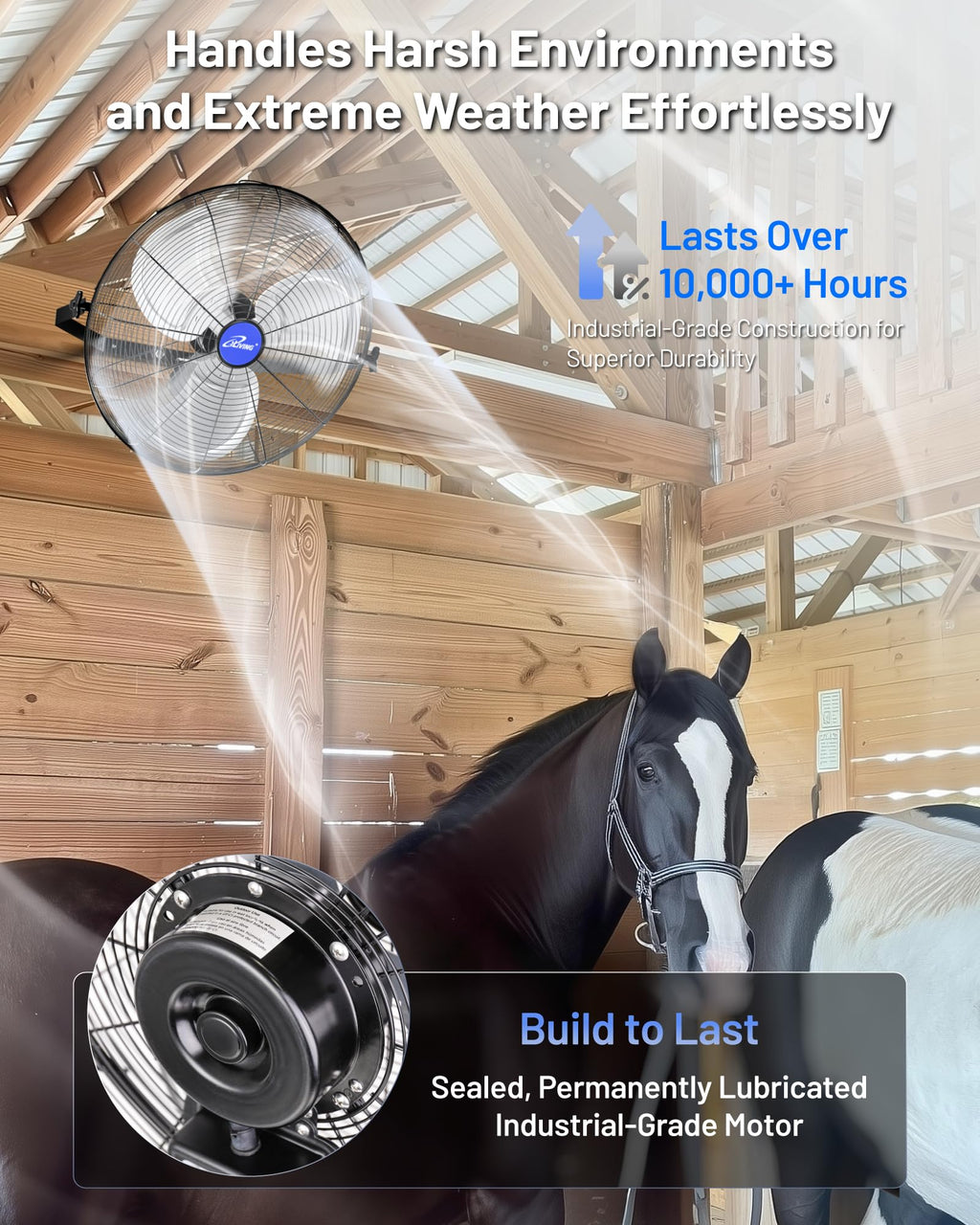 20" Variable Speed Indoor/Outdoor Fan, 4650 CFM, Black Y724