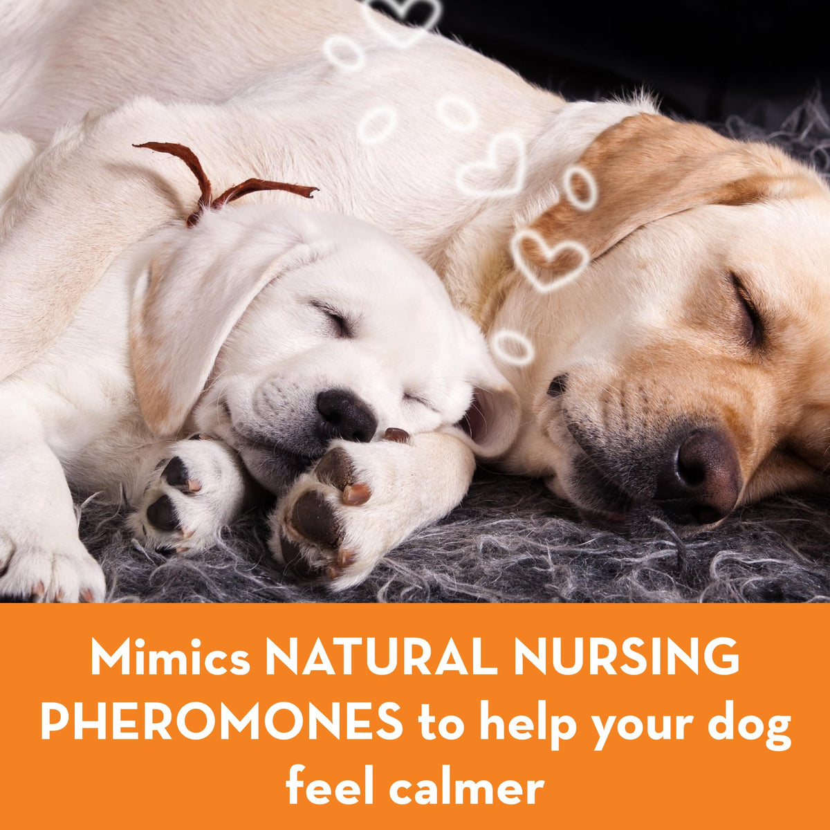 Calming Collar for Dogs (Large) E136