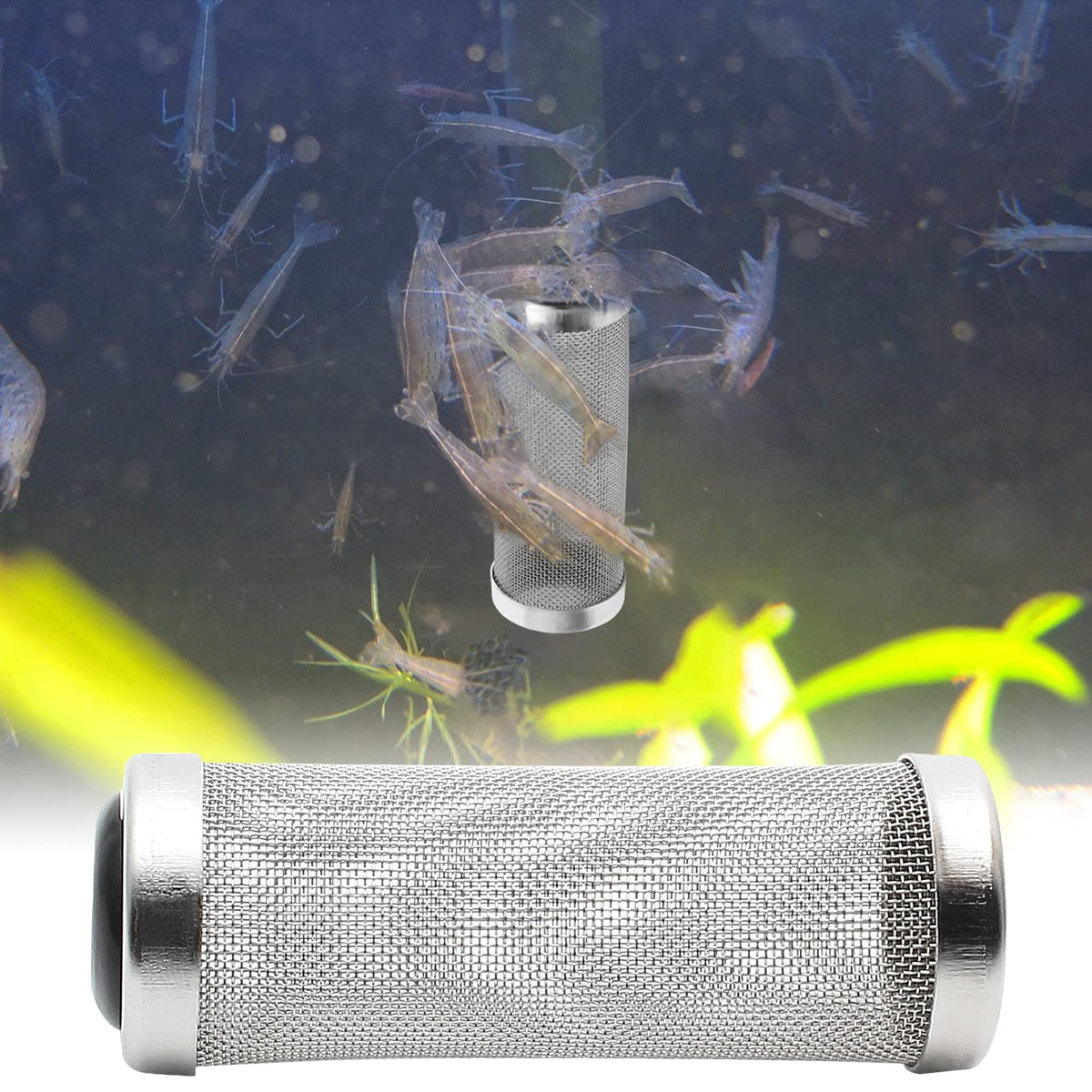 Stainless Steel Aquarium Filter Intake Cover 12mm F45597