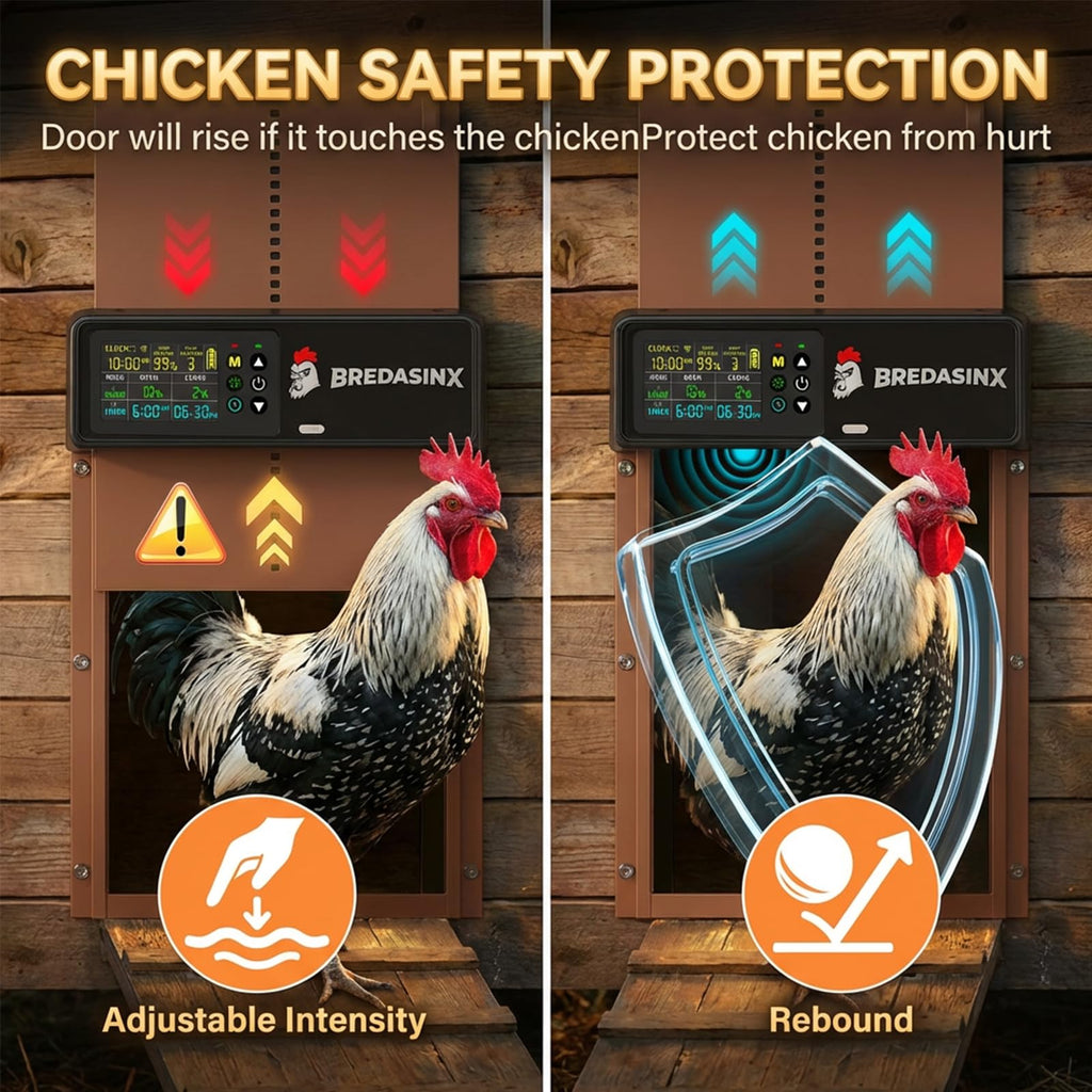 Automatic Chicken Coop Door K8371