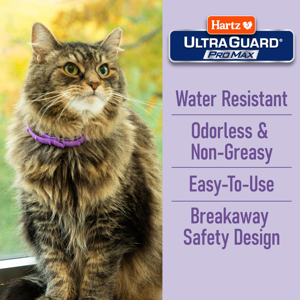 Flea & Tick Collar for Cats & Kittens 2 Pack N76119