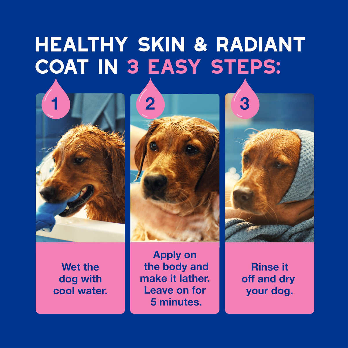 Dog Shampoo for Sensitive Skin, 16 fl oz T445521