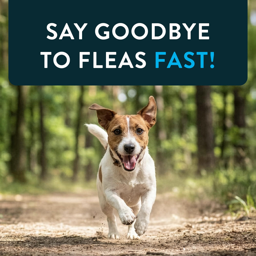 Oral Flea Tablets Dogs 2-25 lbs, Nitenpyram, 6-Dose P65711