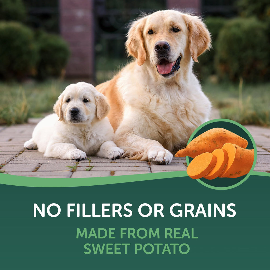 Dried Sweet Potato Slices Dog Treats 16 oz Z3000