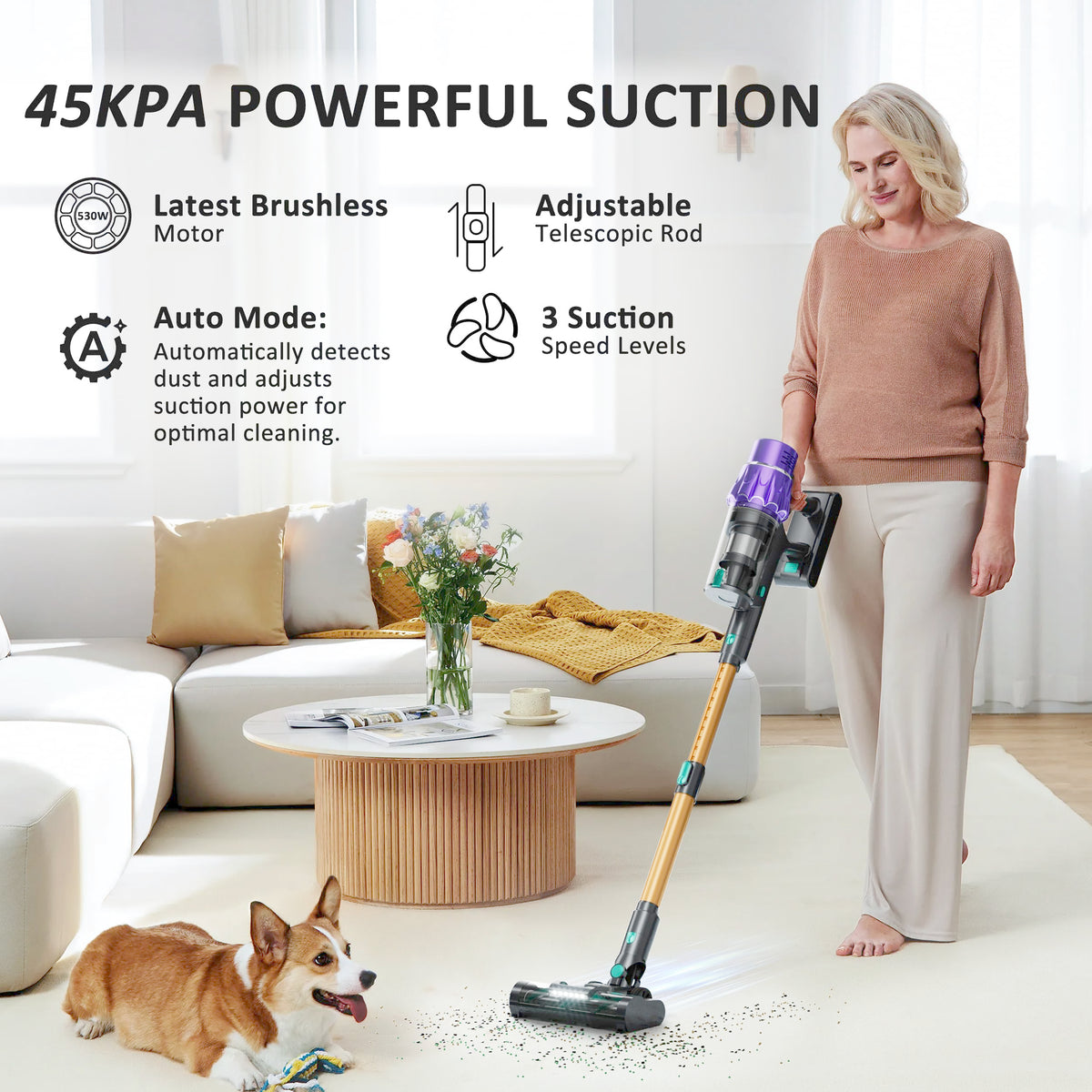 Cordless Stick Vacuum Cleaner P297