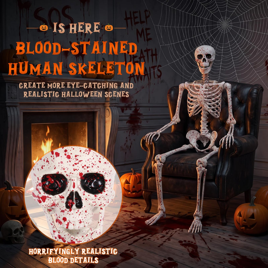 Life Size Posable Skeleton Z7611