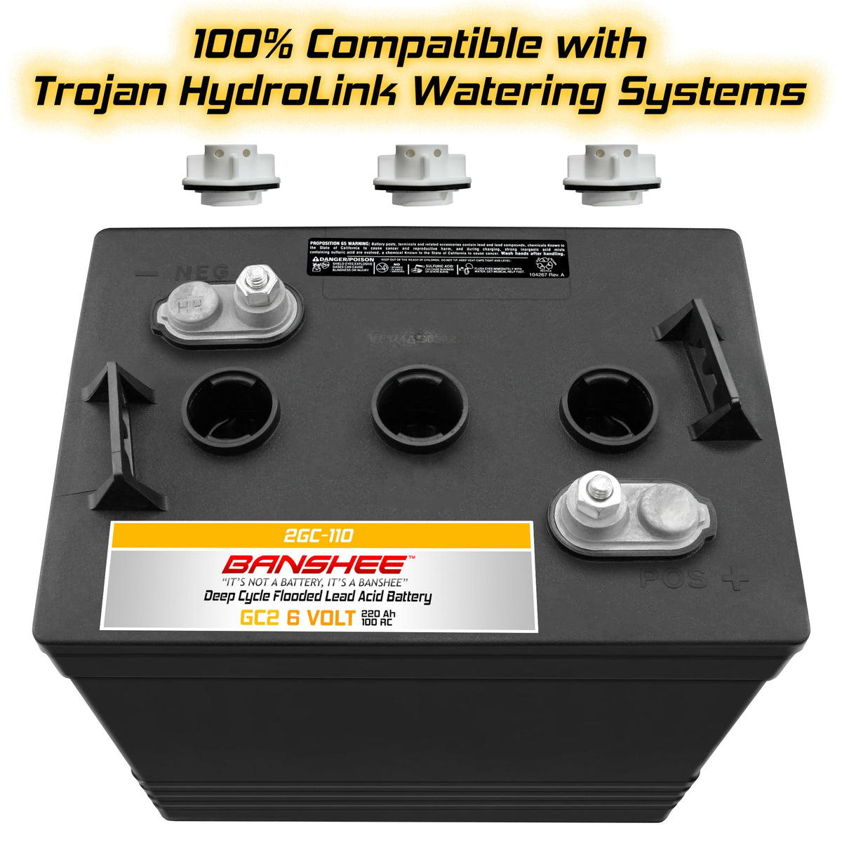 220Ah Deep Cycle Golf Cart Batteries 4-Pack Y321615