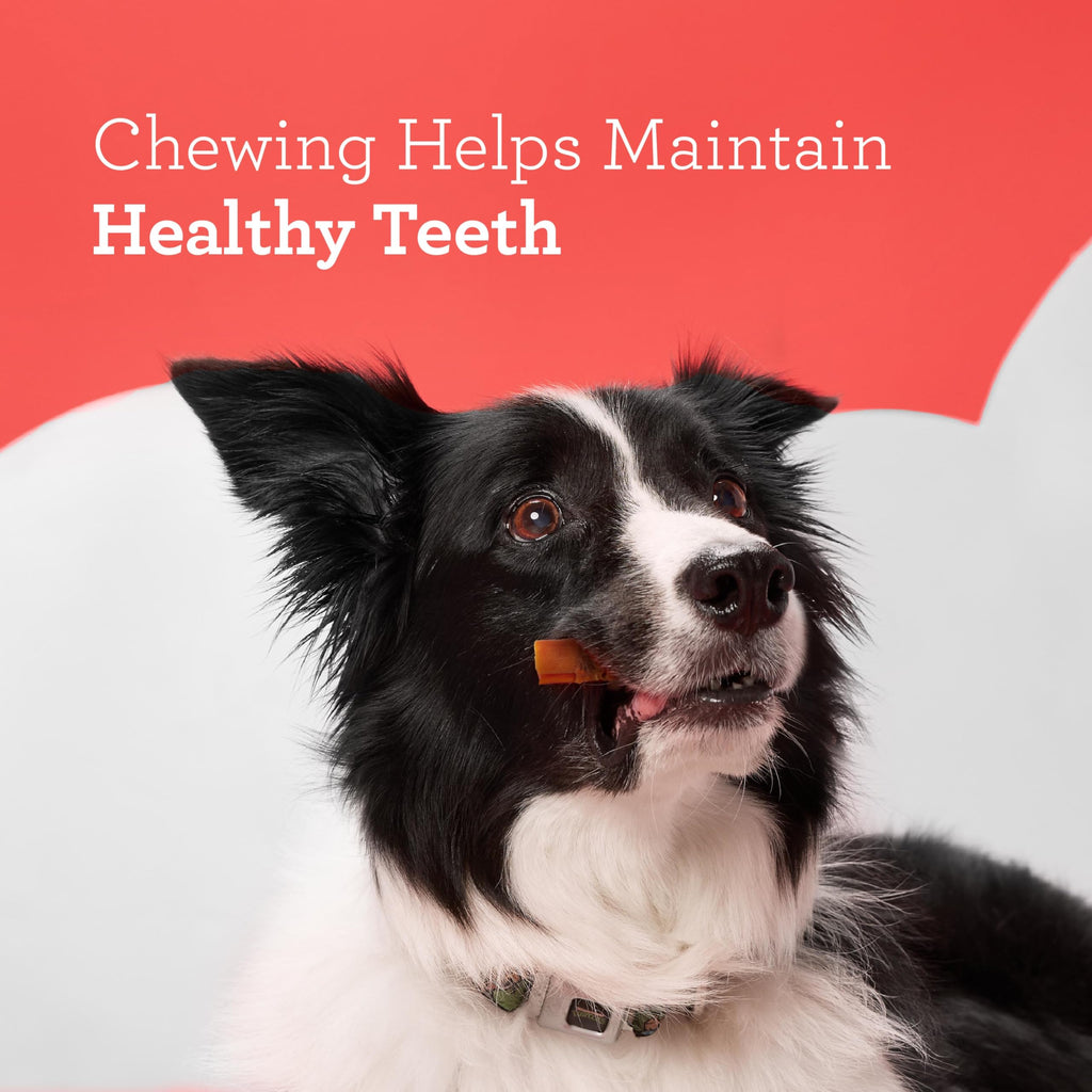 Rawhide-Free Dog Treats 14 Count K344595