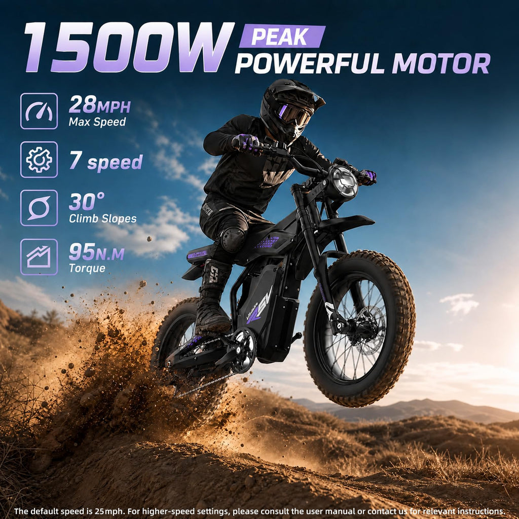 1500W Electric Bike with Pedal X653616