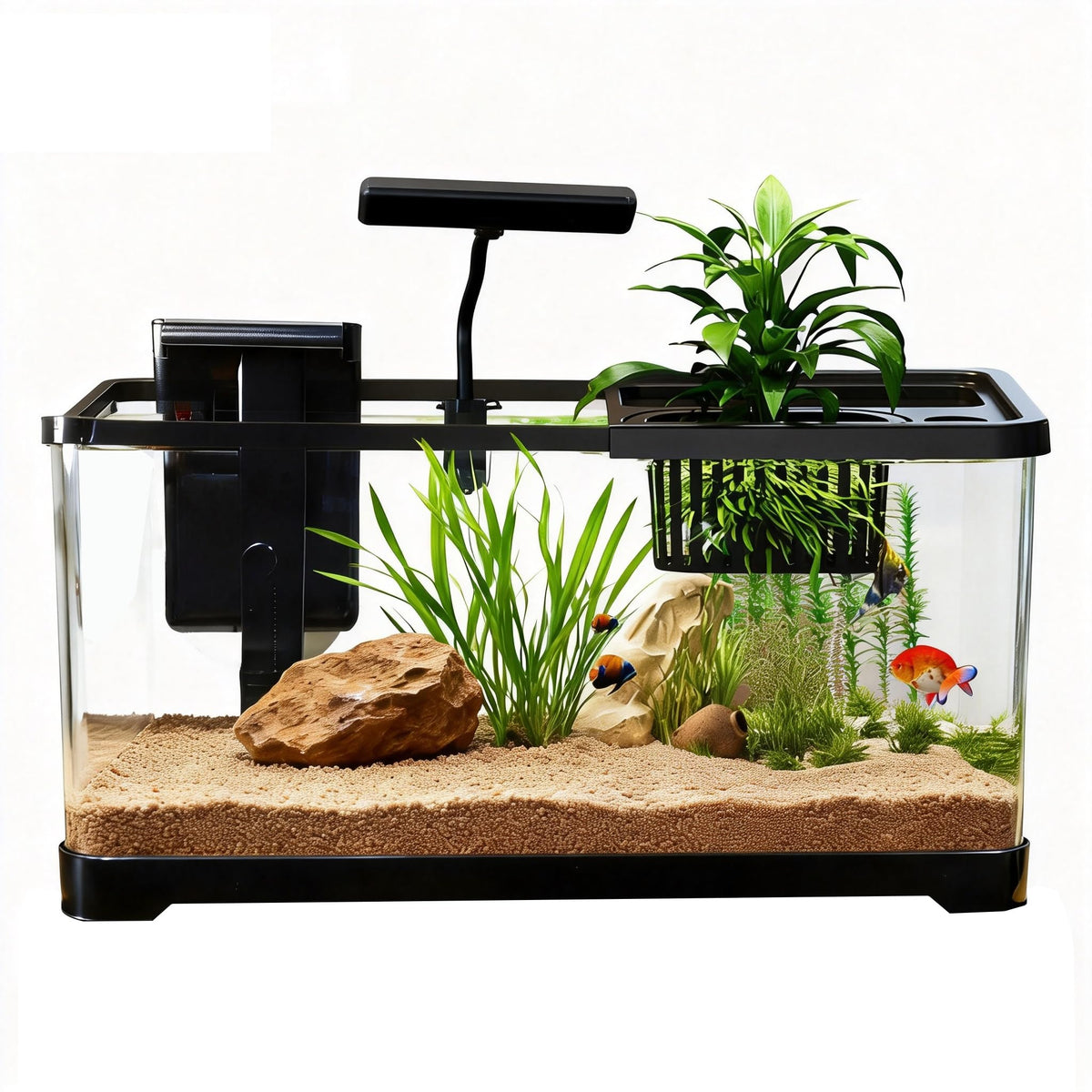 5 Gallon Plastic Aquarium Starter Kit with Filter and LED Light F95900