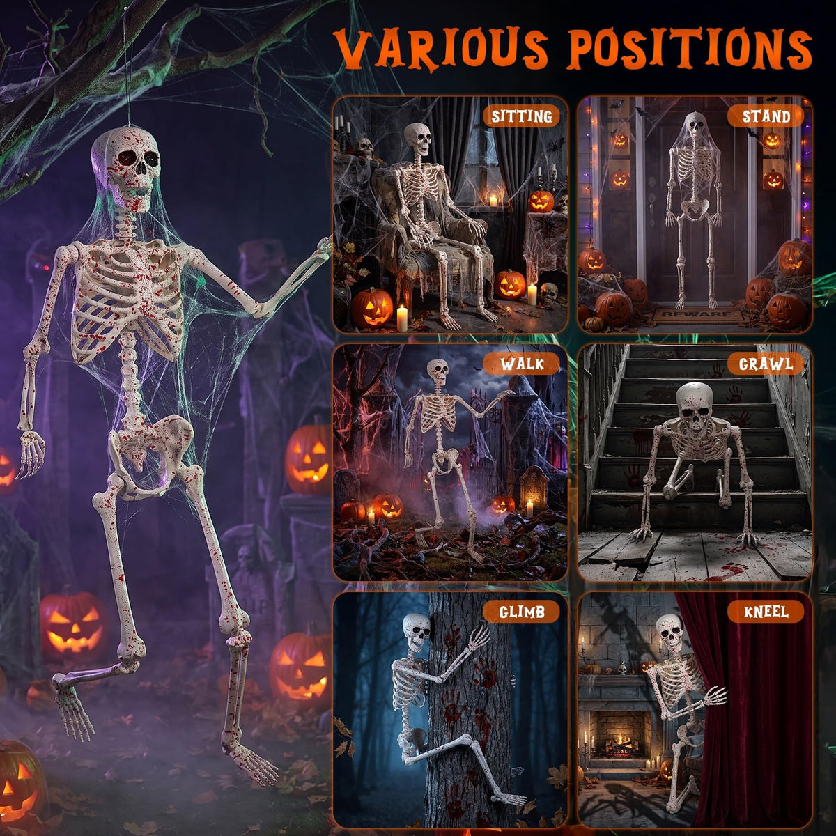 Life Size Posable Skeleton Z7611