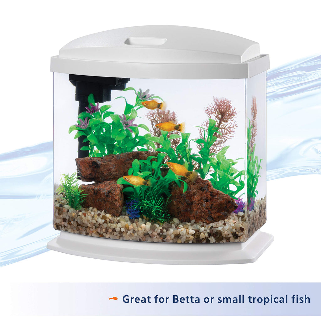 White 2.5 Gallon Aquarium Fish Tank Kit Q80940