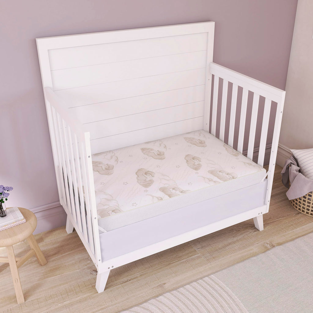 2-in-1 Dual-Sided Mini Crib Mattress T6649