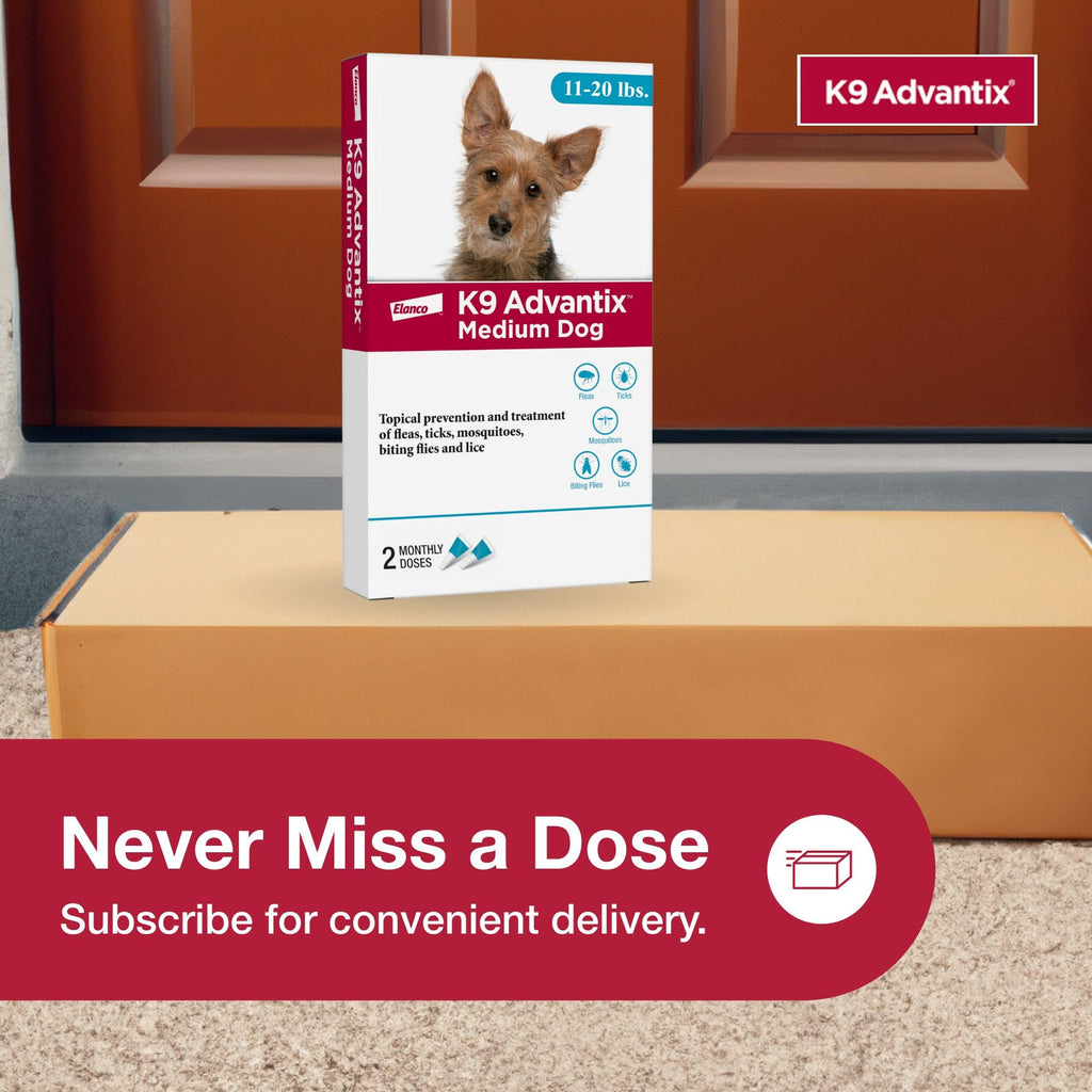 Flea and Tick Prevention Drops for Dogs 11-20 lbs K73004
