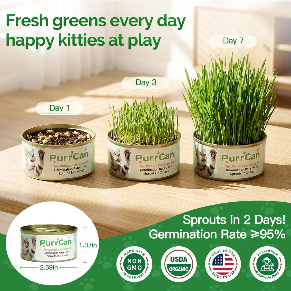 6 Cans Organic Wheat Cat Grass Growing Kit E97269