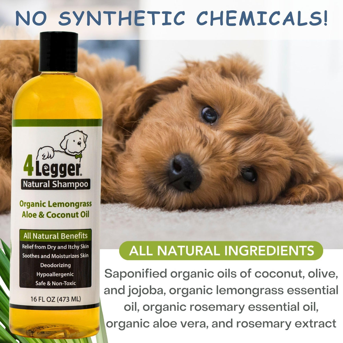 Certified Organic Hypoallergenic Dog Shampoo with Aloe and Lemongrass 16 oz A193276