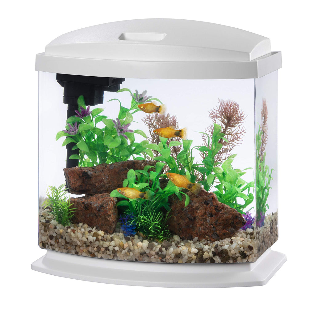 White 2.5 Gallon Aquarium Fish Tank Kit Q80940