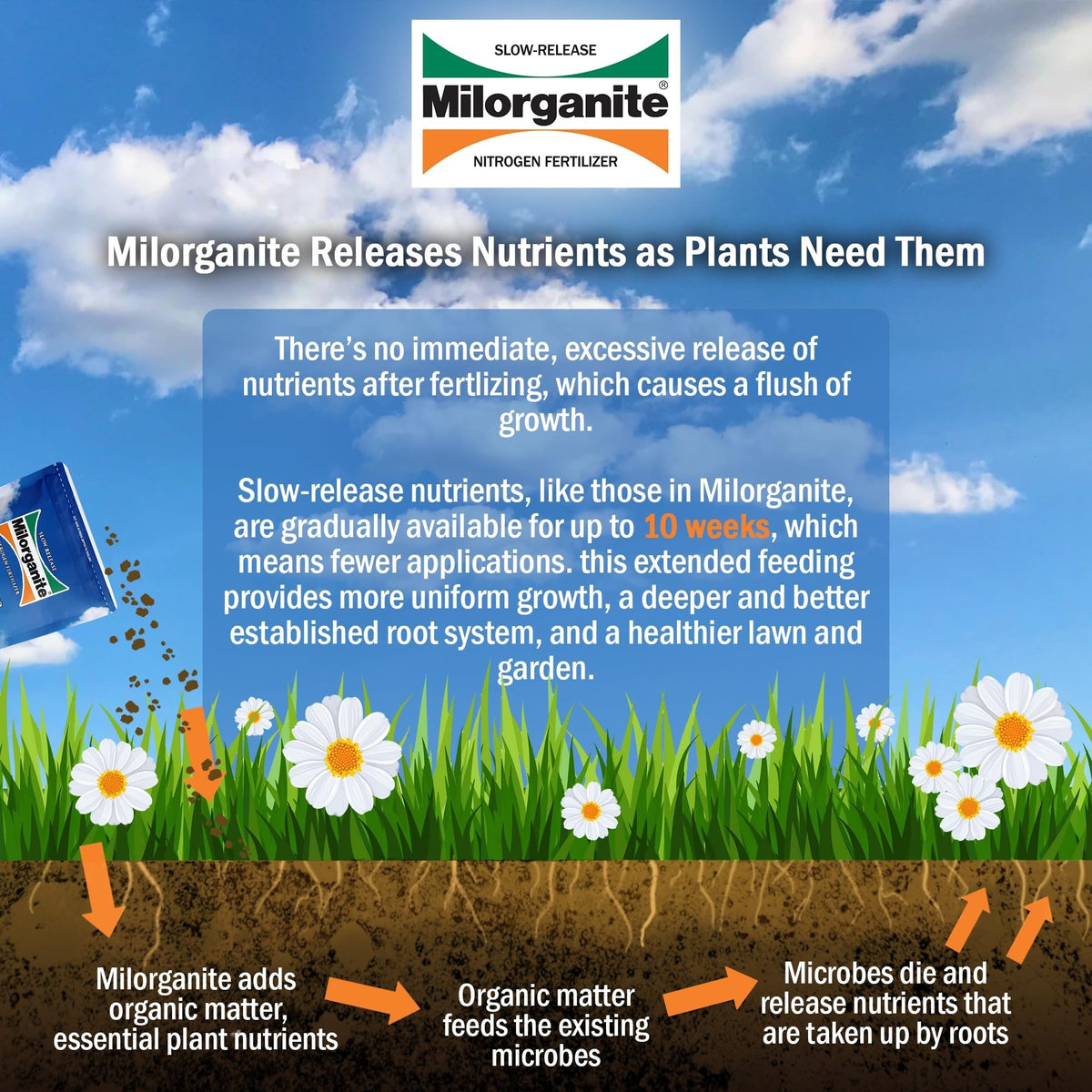 Slow-Release Nitrogen 6-4-0 Fertilizer, 5 Pound Bag (Pack of 4) T980