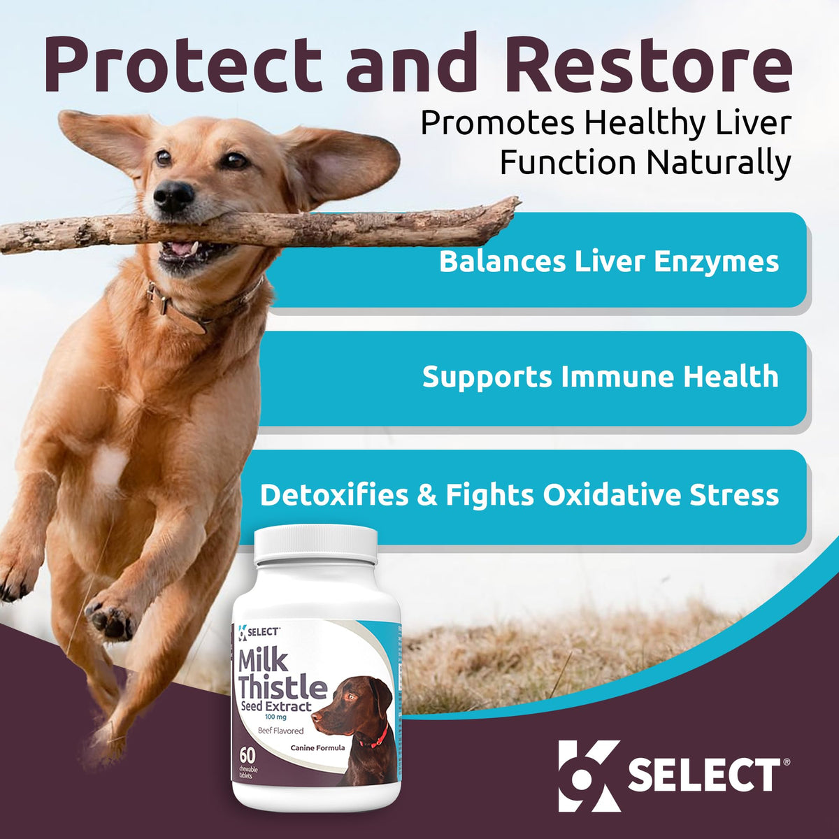 Milk Thistle Liver Support 60 Beef Chewable Tablets T408