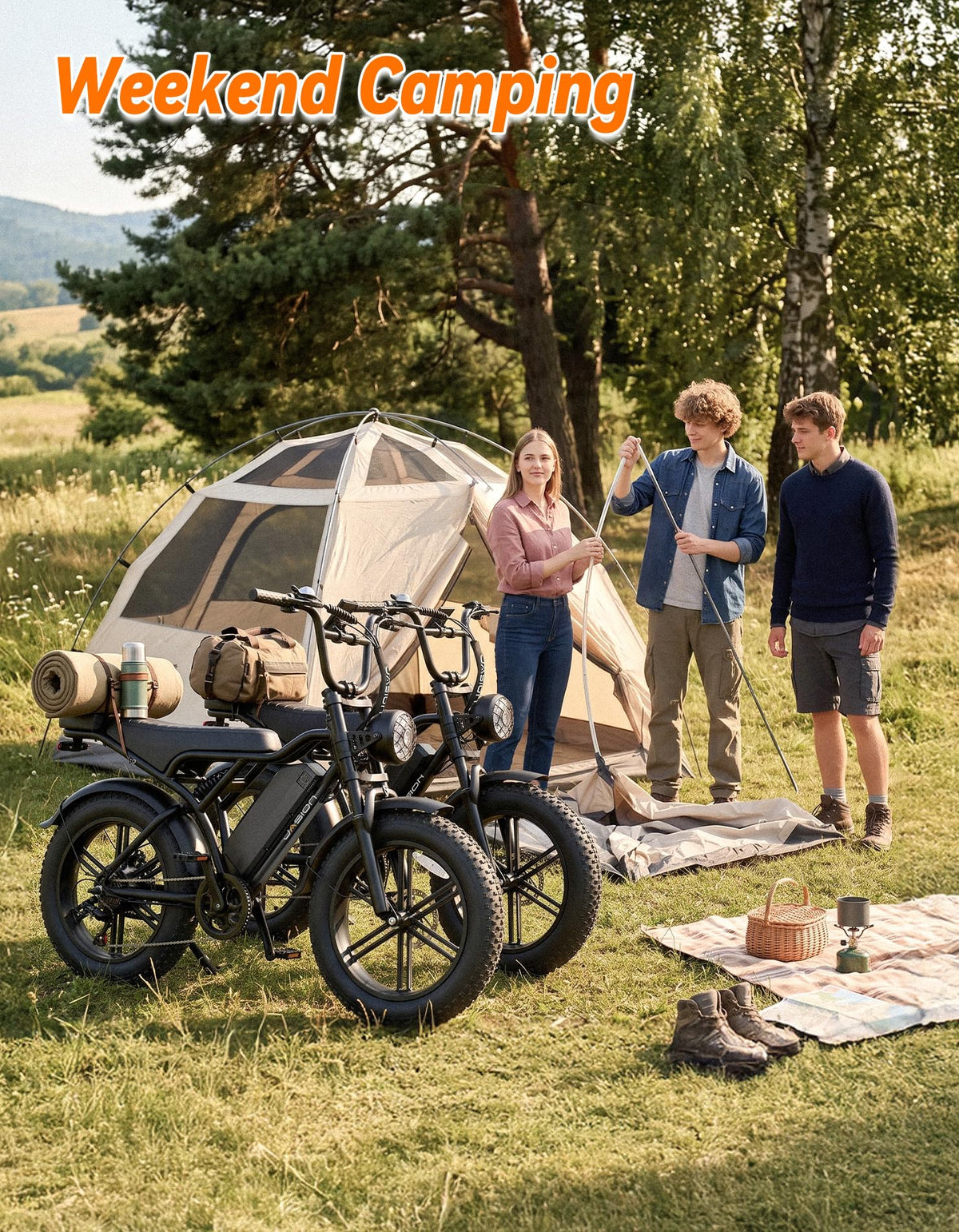 Electric Bike with 48V Removable Battery P40738